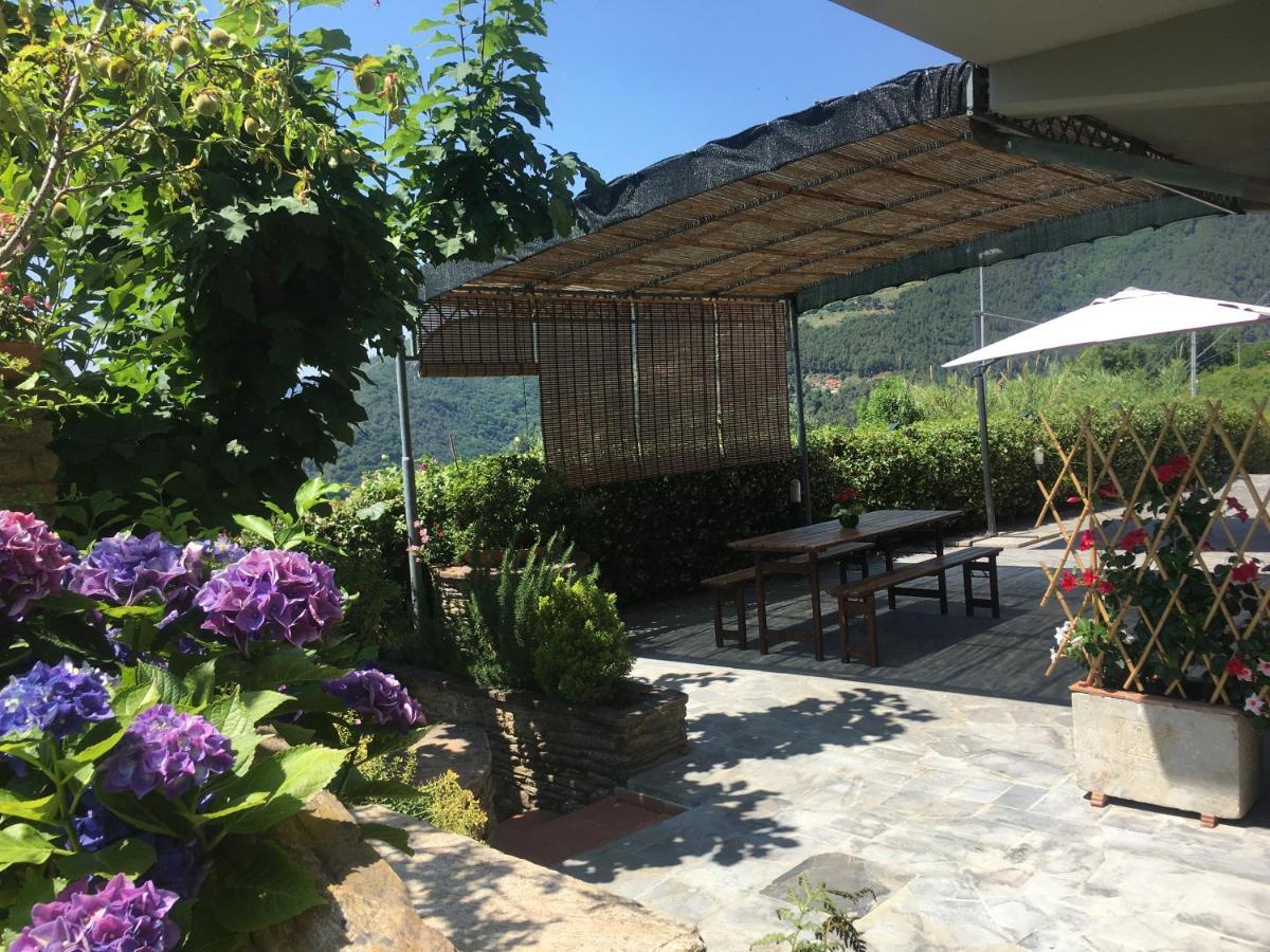 Gelsomini Villa มาสซา ภายนอก รูปภาพ