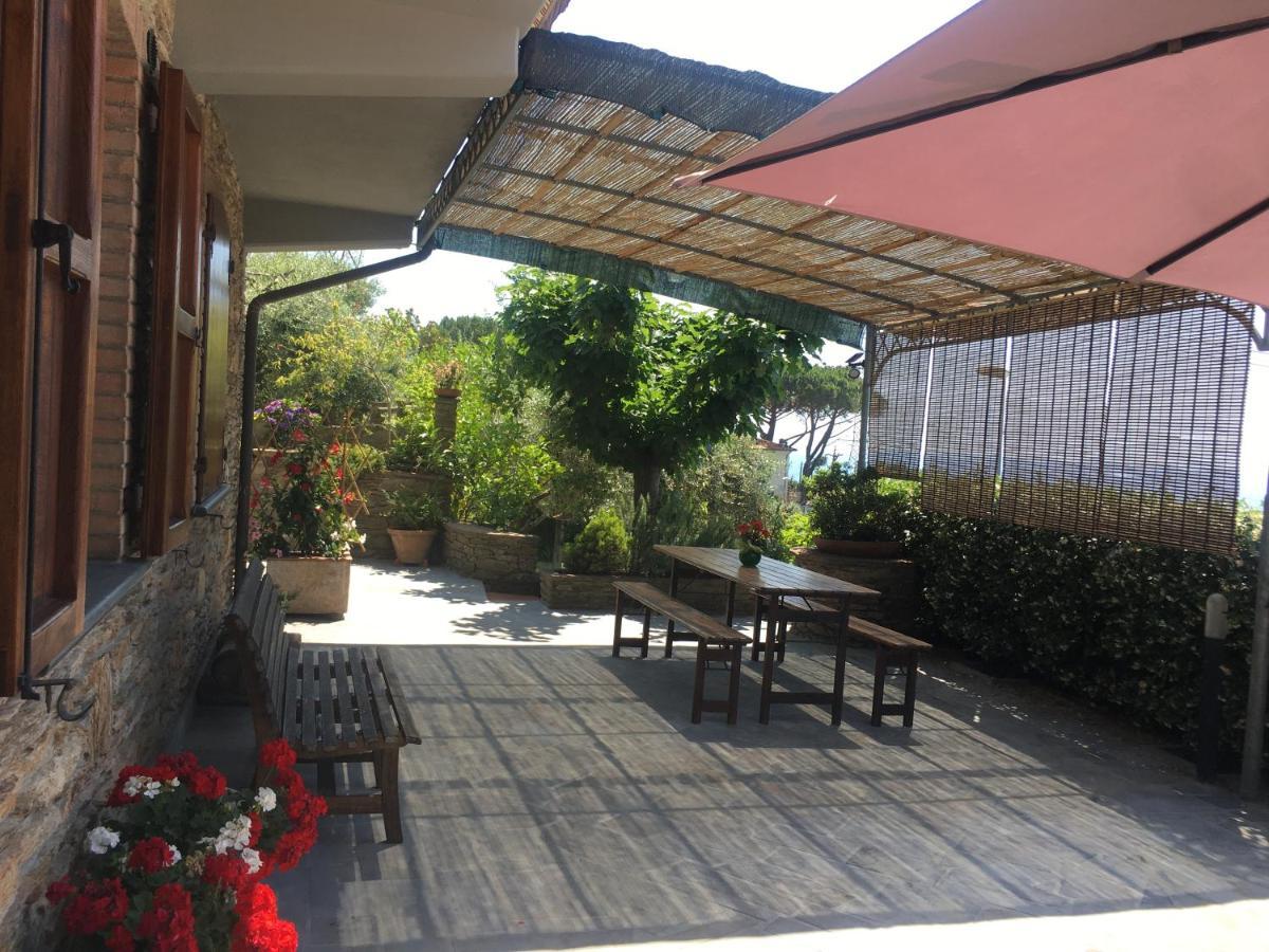 Gelsomini Villa มาสซา ภายนอก รูปภาพ
