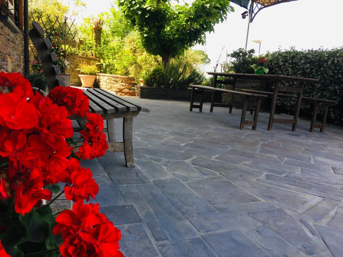 Gelsomini Villa มาสซา ภายนอก รูปภาพ